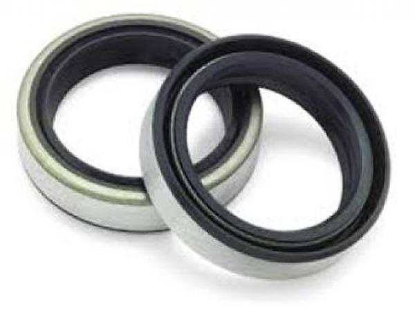 OIL SEALS